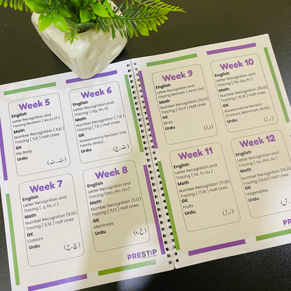 Toddlers Pack | 5 Months Complete Playgroup Course | Free Delivery