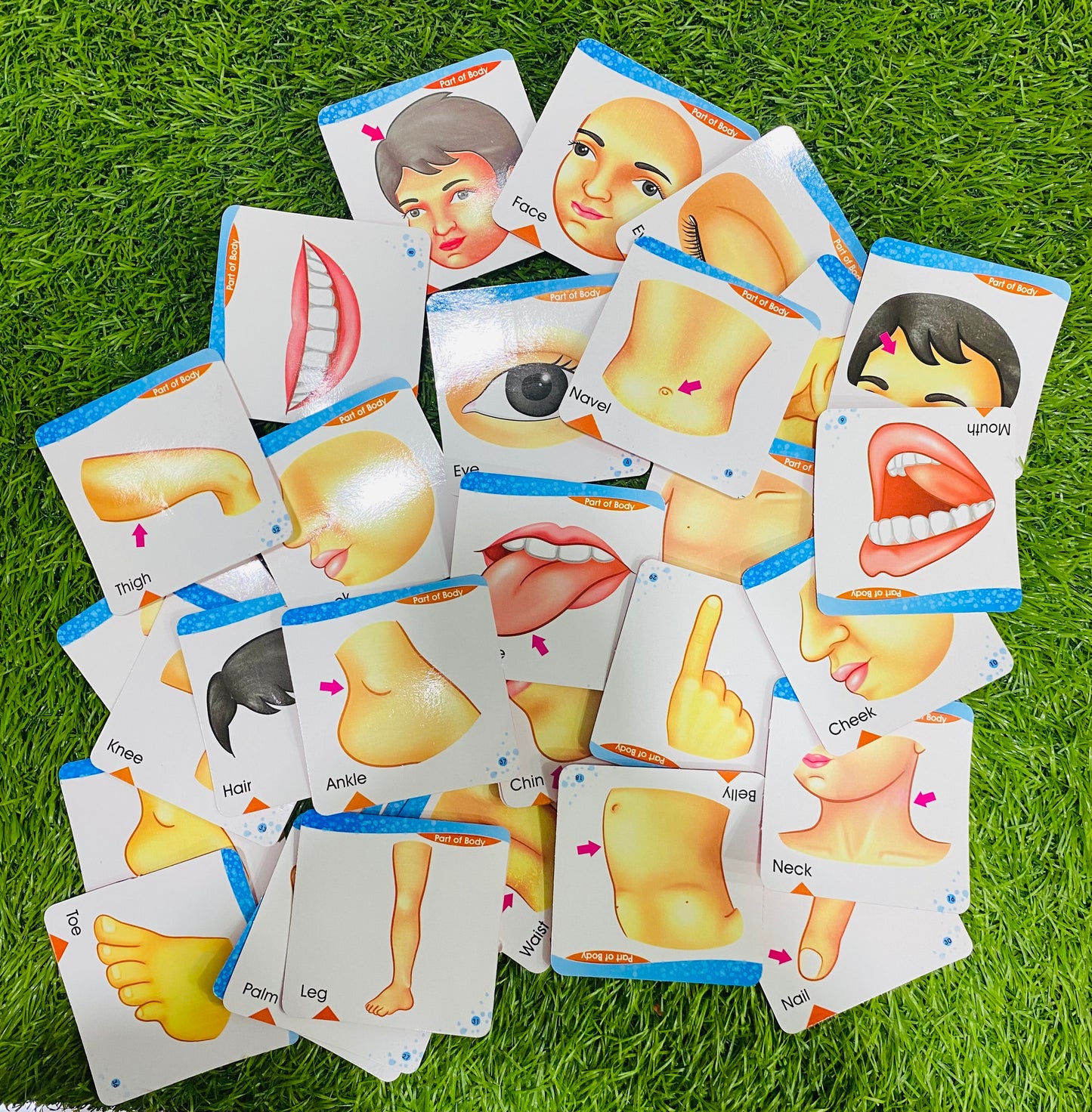 6 in 1 Flash Cards Kit for Preschoolers | 200+ Cards