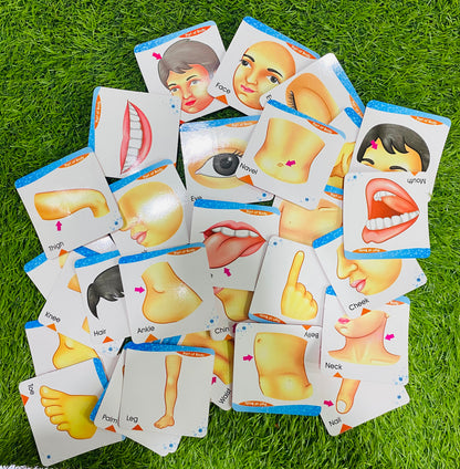 6 in 1 Flash Cards Kit for Preschoolers | 200+ Cards