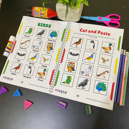 Preschool Pack | Playgroup Admission Preparation Bundle | 2 - 3.5 Years