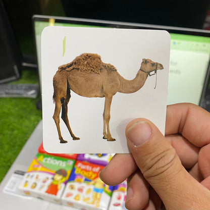 6 in 1 Flash Cards Kit for Preschoolers | 200+ Cards