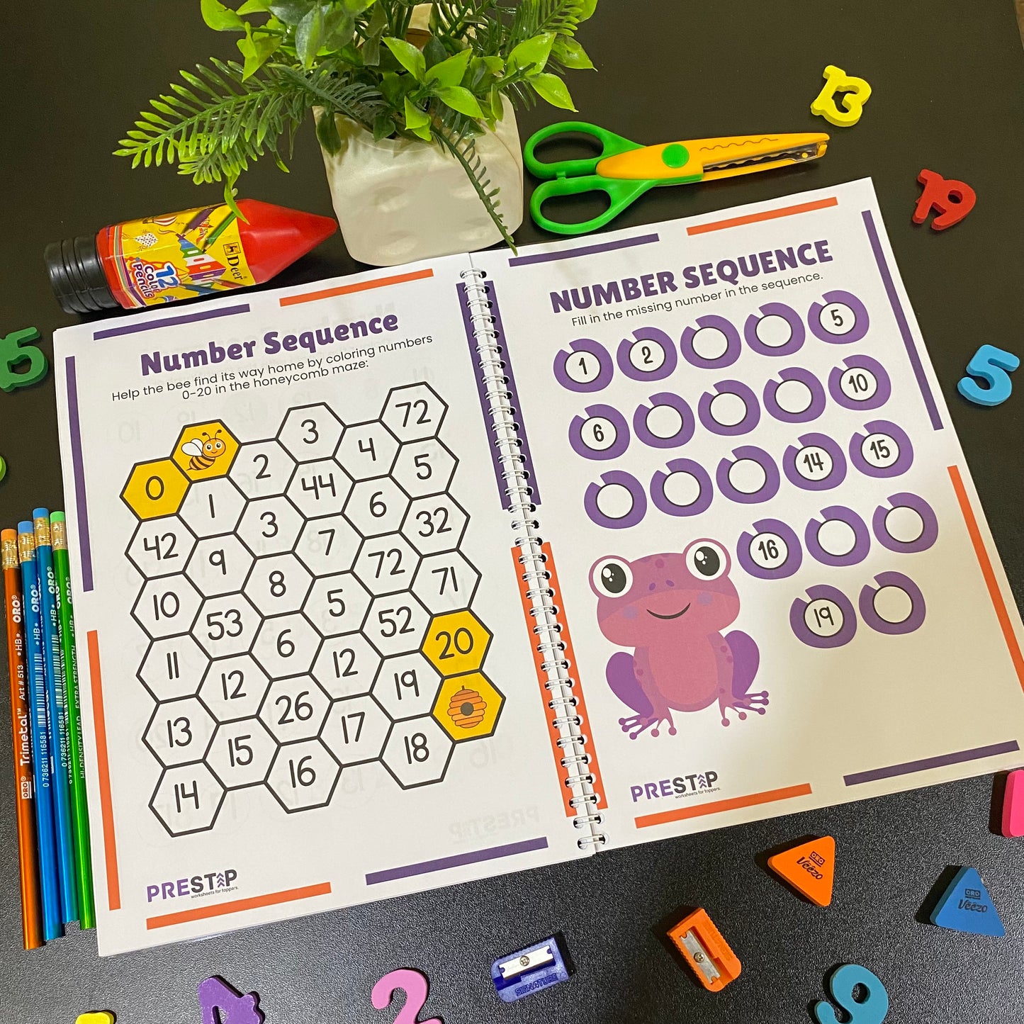 Toddlers Pack | 5 Months Complete Playgroup Course | 270+ worksheets | Free Delivery