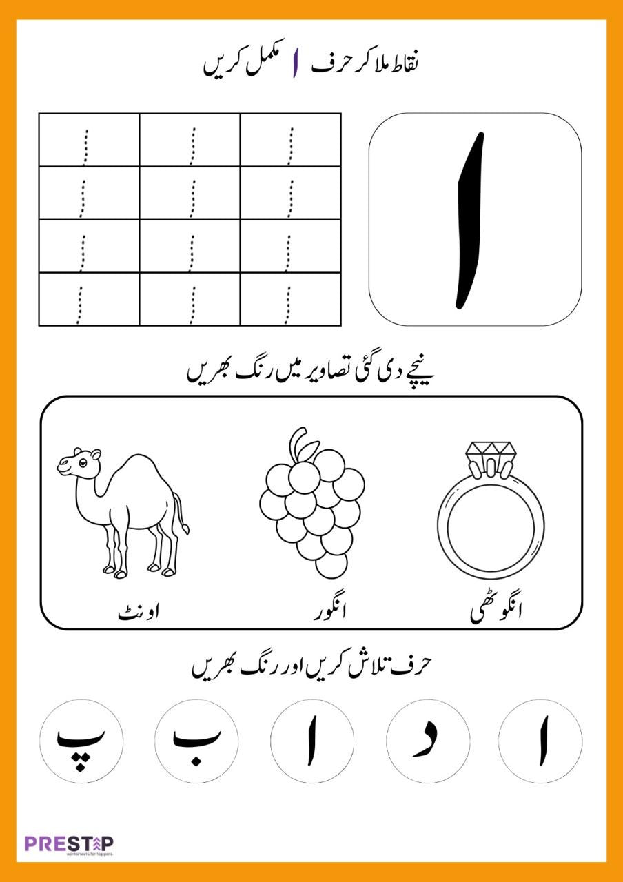 Toddlers Pack | 5 Months Playgroup Learning Bundle | Free Shipping