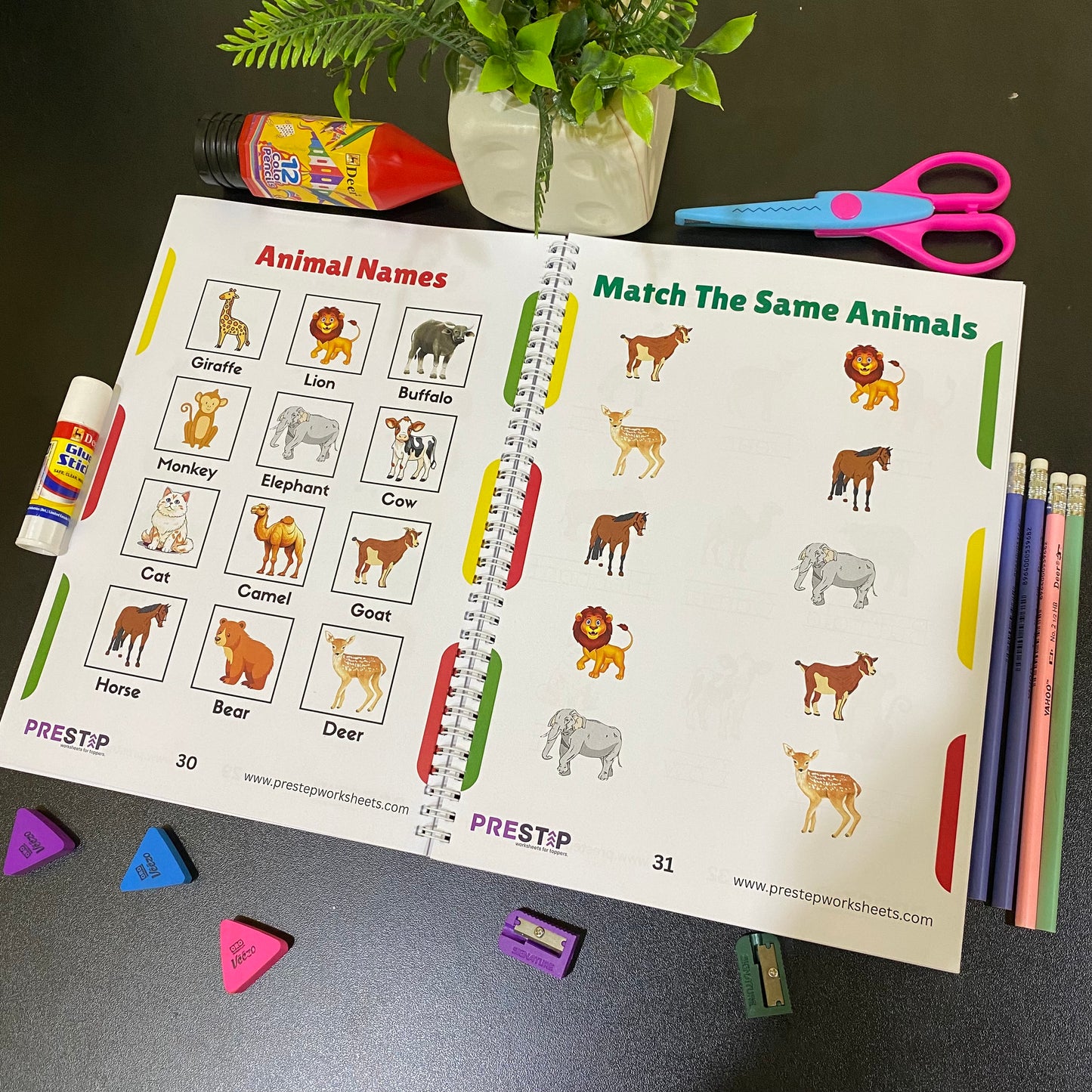 Preschool Pack | Playgroup Admission Preparation Bundle | 2 - 3.5 Years