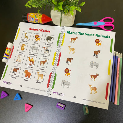 Preschool Pack | Playgroup Admission Preparation Bundle | 2 - 3.5 Years