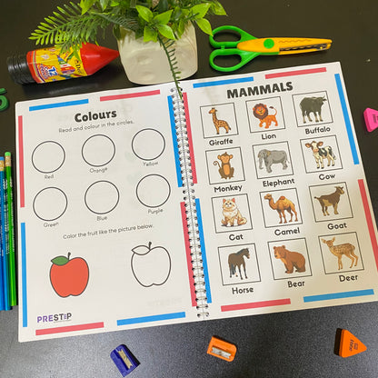 Toddlers Pack | 5 Months Complete Playgroup Course | Free Delivery