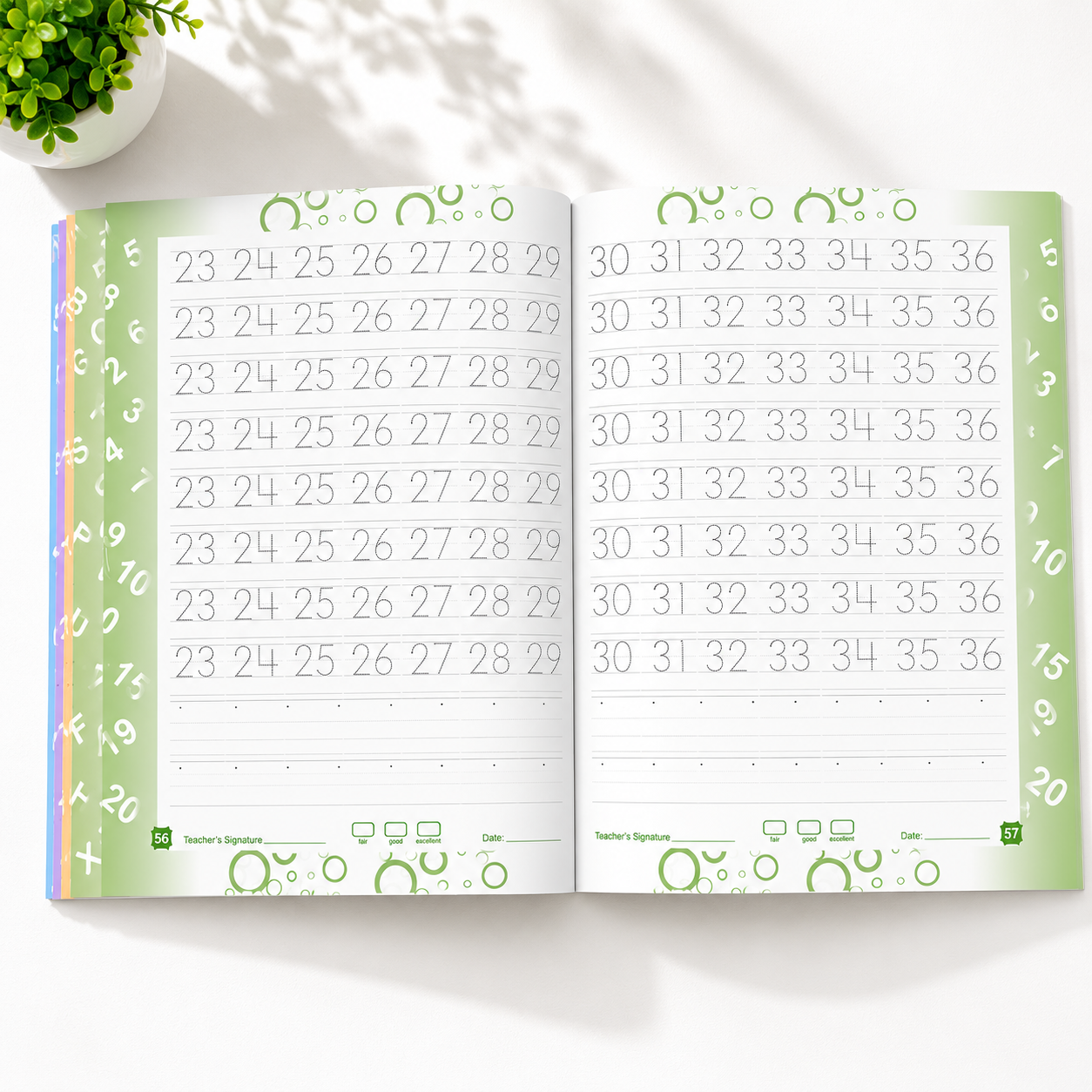 Pre-Handwriting Pack | Step-by-Step Pencil Control Course with Certificate | Ages 3 to 5