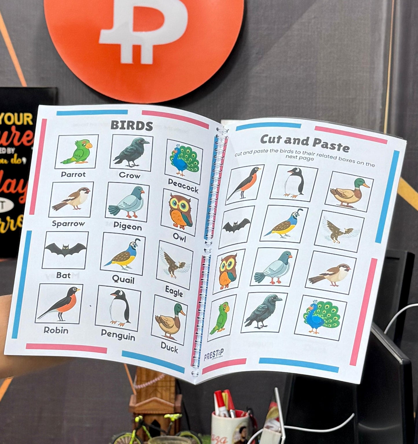 Toddlers Pack | 5 Months Playgroup Learning Bundle | Free Shipping