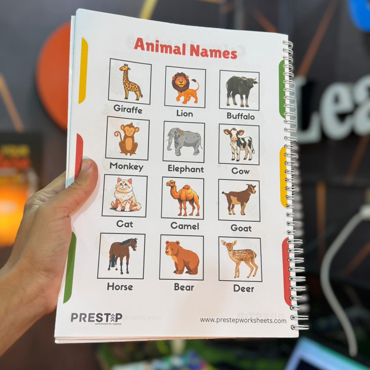 Preschool Pack | Playgroup Admission Preparation Bundle | 2 - 3.5 Years